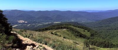 Wołosate ↔ Przełęcz pod Tarnicą