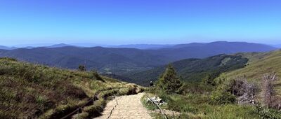 Przełęcz pod Tarnicą