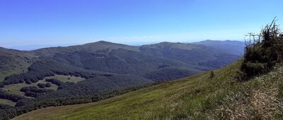 Przełęcz pod Tarnicą ↔ Tarnica