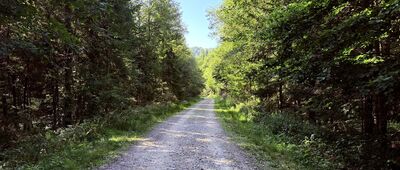 Przełęcz Bukowska ↔ Początek ścieżki przyrodniczej "Rozsypaniec - Krzemień"