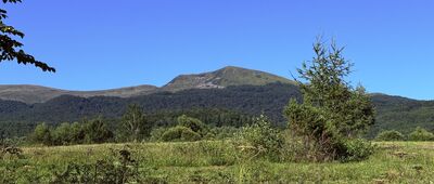 Początek ścieżki przyrodniczej "Rozsypaniec - Krzemień" ↔ Wołosate