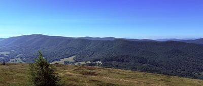 Schron turystyczny BdPN Chatka Puchatka ↔ Połonina Wetlińska, odejście szlaku zielonego