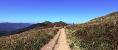 Schron turystyczny BdPN Chatka Puchatka