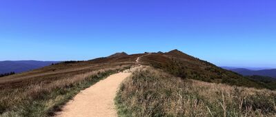 Osadzki Wierch ↔ Schron turystyczny BdPN Chatka Puchatka