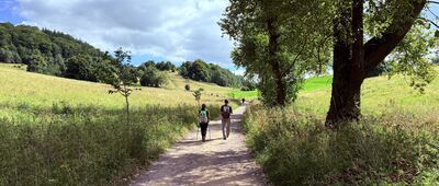 Rozejście szlaków ↔ Rozejście szlaków