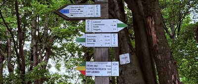 Chełmiec, stacja XIV