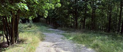 Ruiny bacówki pod Trójgarbem