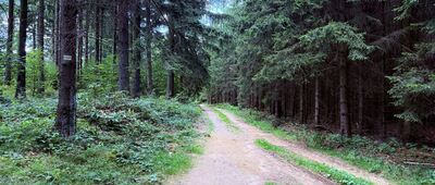 Ruiny bacówki pod Trójgarbem ↔ Skrzyżowanie szlaków niebieski / żółty