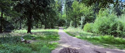 Lubomińskie Siodło