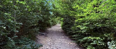 Lubomińskie Siodło ↔ Droga "Tarcie Chrzanu"