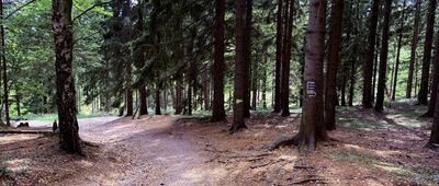 Droga "Tarcie Chrzanu"