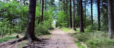 Droga "Tarcie Chrzanu" ↔ Trójgarb