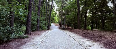 Odejście ścieżki spacerowej ↔ Dom Wycieczkowy PTTK Harcówka