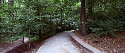 Odejście ścieżki spacerowej ↔ Dom Wycieczkowy PTTK Harcówka