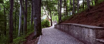 Odejście ścieżki spacerowej ↔ Dom Wycieczkowy PTTK Harcówka