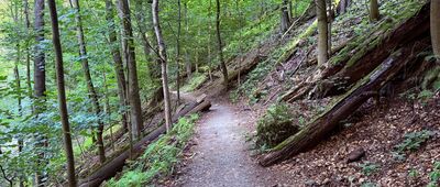 Cis Bolko ↔ Wąwóz rzeki Pełcznicy