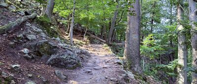 Wąwóz rzeki Pełcznicy