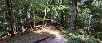 Odejście ścieżki spacerowej ↔ Wąwóz rzeki Pełcznicy