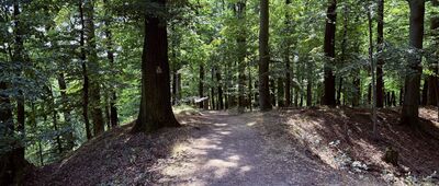 Odejście ścieżki spacerowej