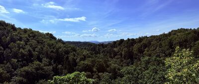 Skrzyżowanie przy ruinach zamku Stary Książ ↔ Wąwóz rzeki Pełcznicy