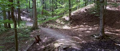 Rozdroże pod Starym Książem