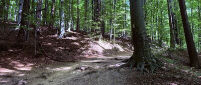 Rozdroże pod Starym Książem