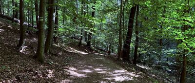 Rozdroże pod Starym Książem