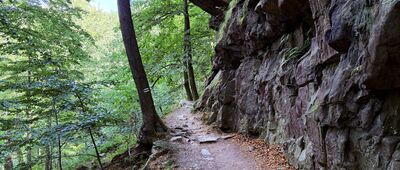 Odejście ścieżki spacerowej ↔ Skrzyżowanie przy ruinach zamku Stary Książ
