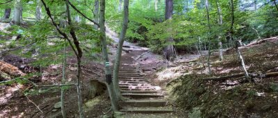 Odejście ścieżki spacerowej ↔ Skrzyżowanie przy ruinach zamku Stary Książ
