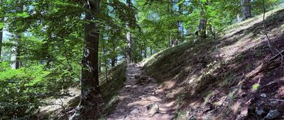 Odejście ścieżki spacerowej ↔ Skrzyżowanie przy ruinach zamku Stary Książ