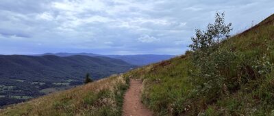 Przełęcz Wyżniańska ↔ Połonina Caryńska