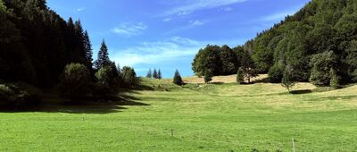 Podžiar ↔ Sedlo Vrchpodžiar