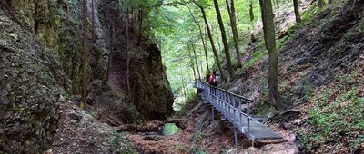 Podžiar ↔ Pod Pálenicou