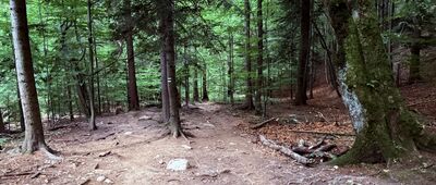 Pod Tesnou Rizňou ↔ Pod Tanečnicou