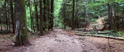 Pod Tesnou Rizňou ↔ Pod Tanečnicou