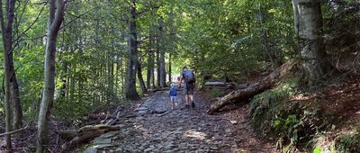 Pod Szyndzielnią, odejście szlaku żółtego