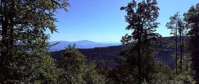 Schronisko PTTK Szyndzielnia