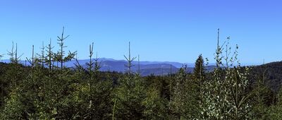 Pod Klimczokiem, odejście szlaku czerwonego ↔ Nad Szyndzielnią