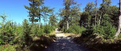 Klimczok ↔ Pod Klimczokiem, odejście szlaku czerwonego