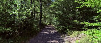 Jaskinia Dująca ↔ Trzy Kopce pod Klimczokiem