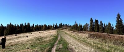 Pod Błatnią ↔ Jaskinia Dująca