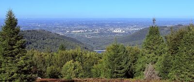 Odejście do chaty drwali ↔ Pod Błatnią