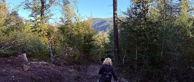 Jezioro w dolinie Wapienicy ↔ Przełęcz pod Przykrą