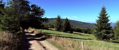 Polana Cukiernica ↔ Rajcza, most