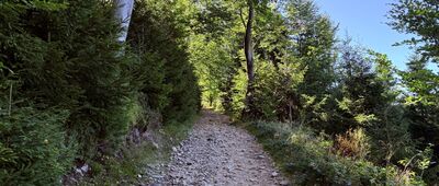 Nad Halą Cukiernica ↔ Hala Redykalna