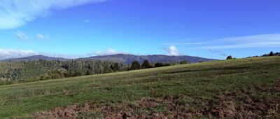 Osada Lastovicovci ↔ Krásno nad Kysucou