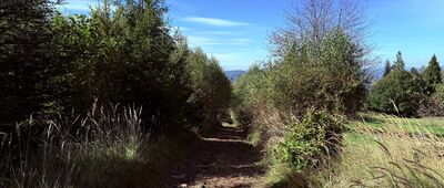 Kalinový vrch, rázc.