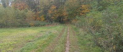 Doły Piekarskie, bunkier