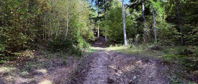 Kamesznica, Złatna ↔ Węgierska Górka