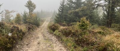 Skrzyżowanie na Przehybie ↔ Skrzyżowanie pod Przehybą